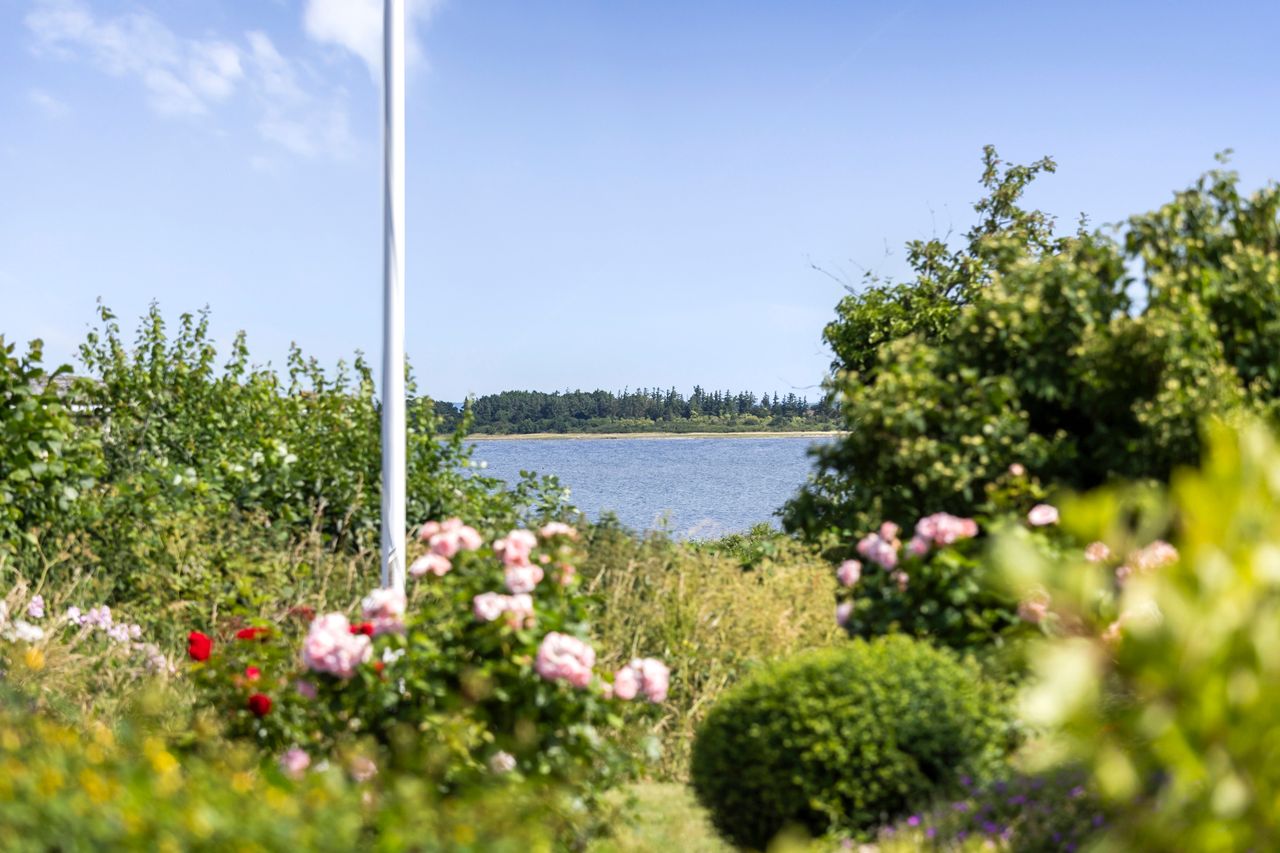 image 03